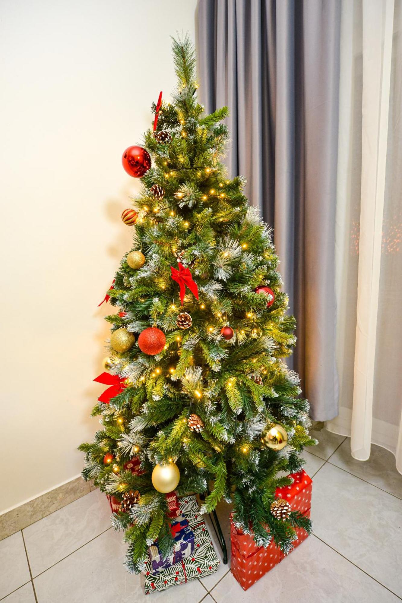 Apartment Ideal Center *